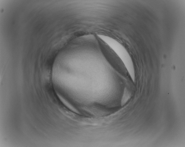 X0000074290033200609151928