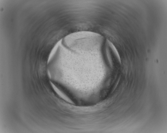 X0000074290034200609151928