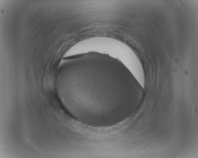 X0000074290035200609151928