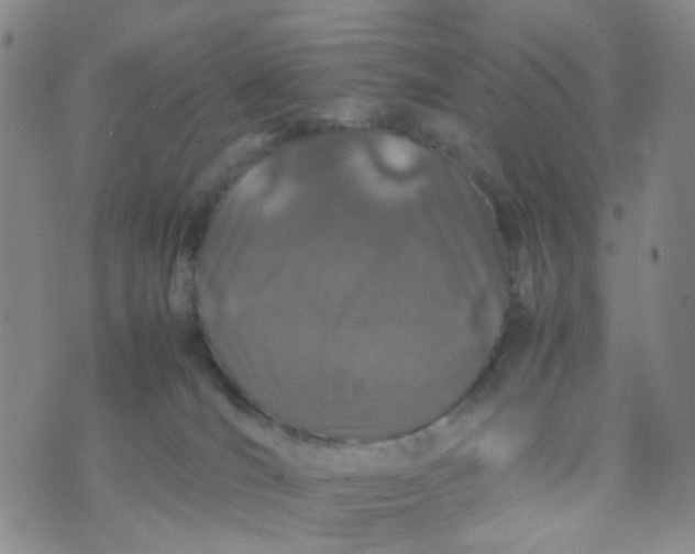 X0000074290036200609151928