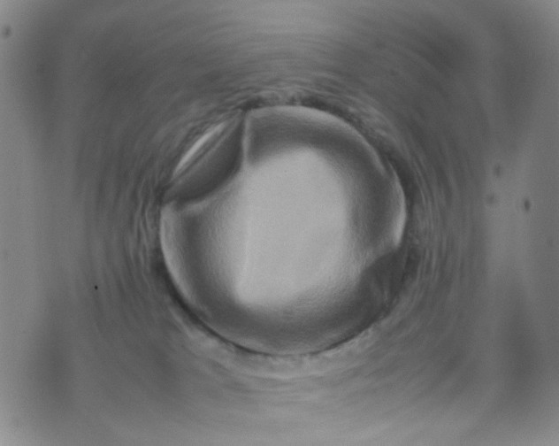 X0000074290037200609151928