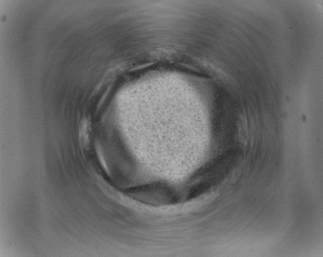 X0000074290038200609151928