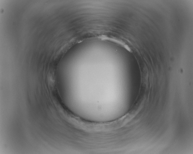 X0000074290040200609151928