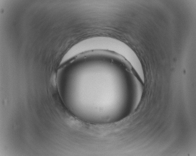 X0000074290041200609151928