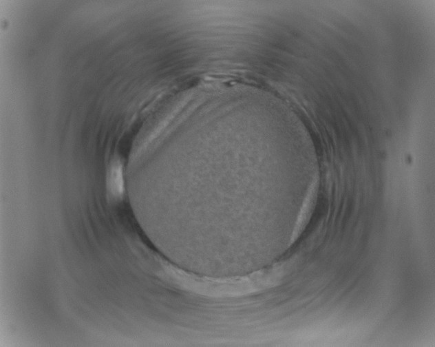 X0000074290042200609151928