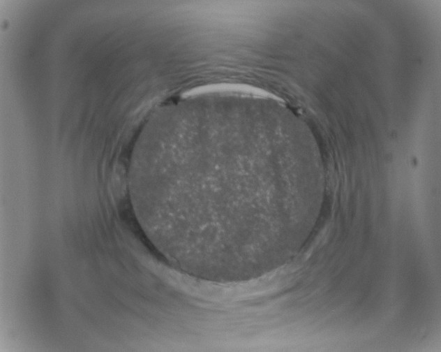 X0000074290043200609151928