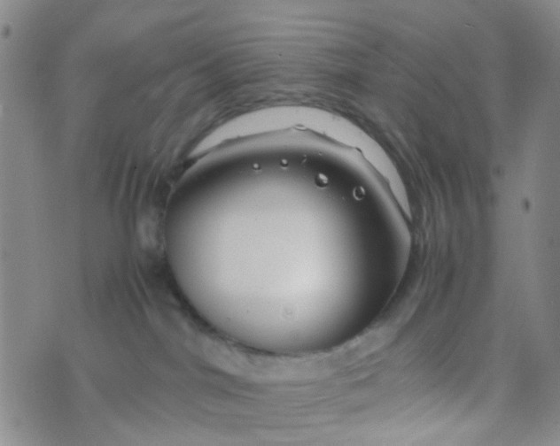 X0000074290044200609151928