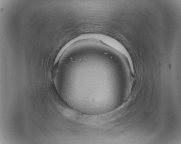 X0000074290045200609151928