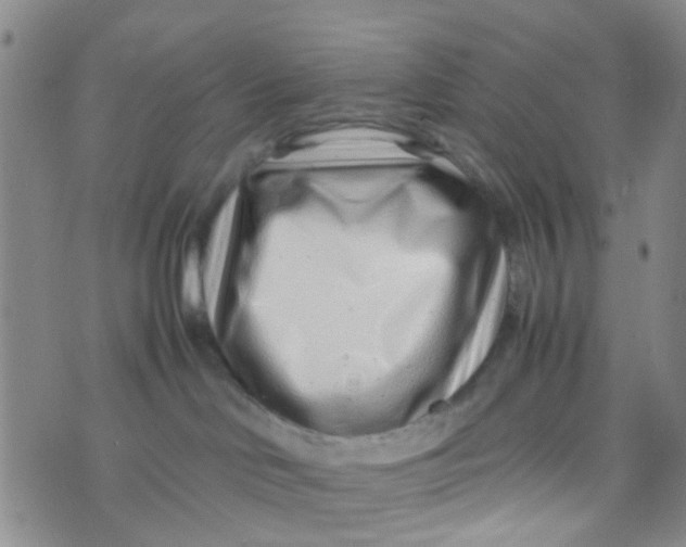 X0000074290046200609151928