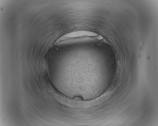 X0000074290048200609151928