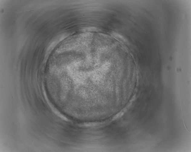 X0000074290049200609151927