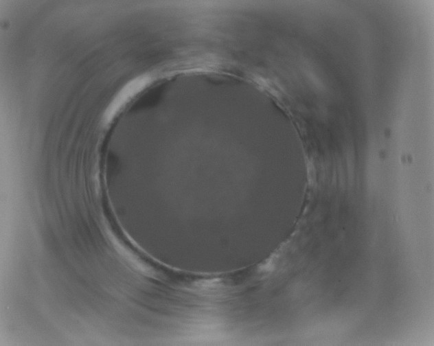 X0000074290054200609151927