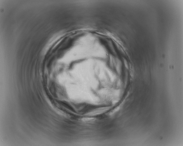 X0000074290055200609151927