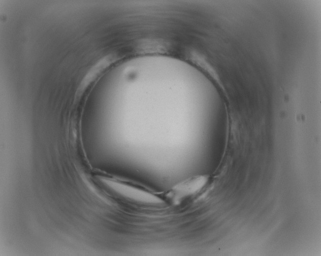 X0000074290059200609151927