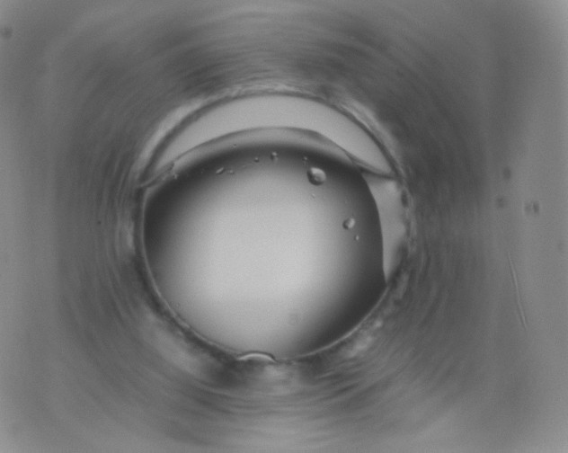 X0000074290060200609151927