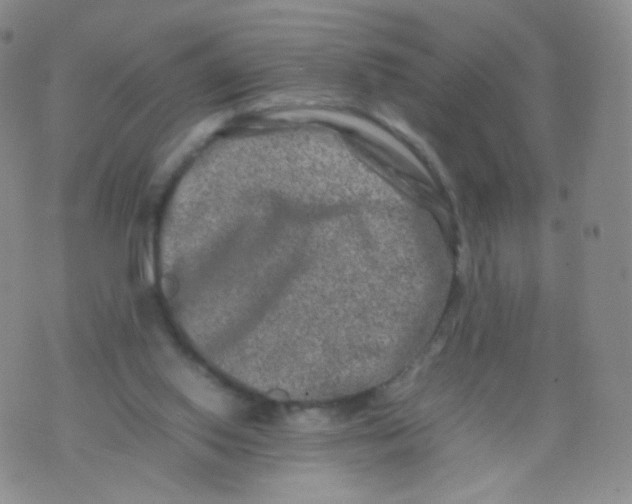 X0000074290062200609151927