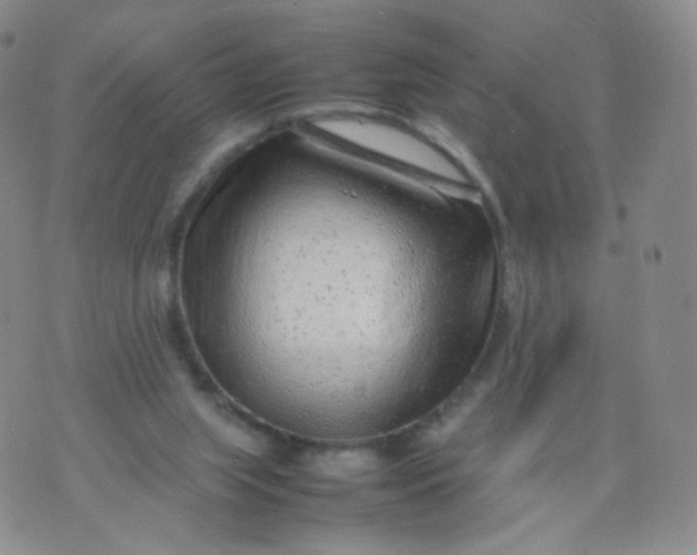 X0000074290063200609151927