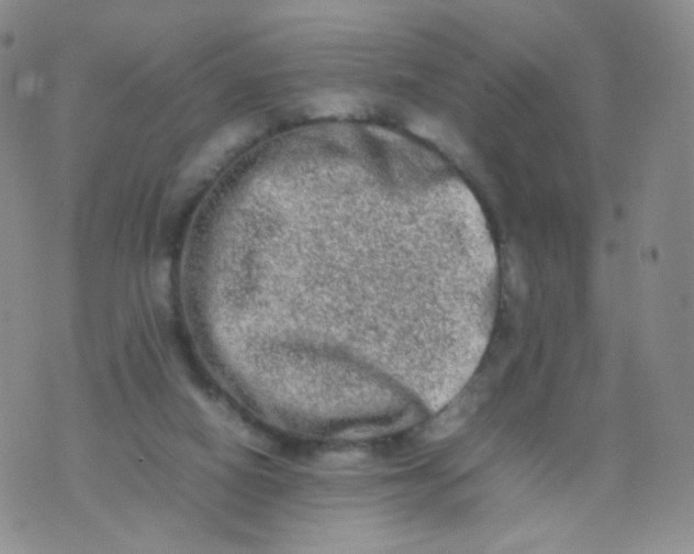 X0000074290066200609151927