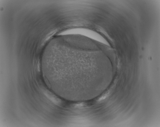 X0000074290068200609151927