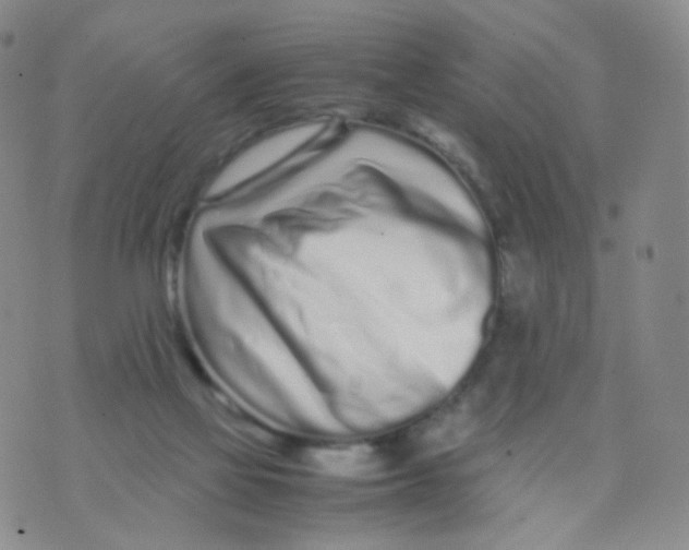 X0000074290069200609151927