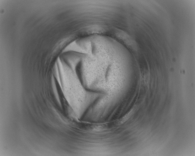 X0000074290070200609151927