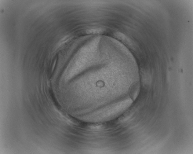 X0000074290071200609151927