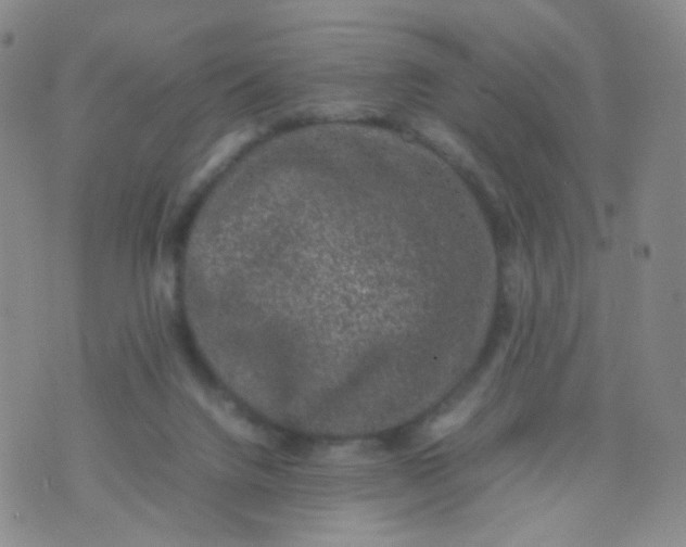 X0000074290072200609151927