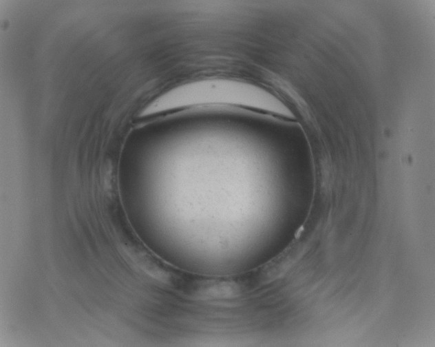 X0000074290073200609151927