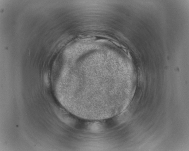 X0000074290074200609151927