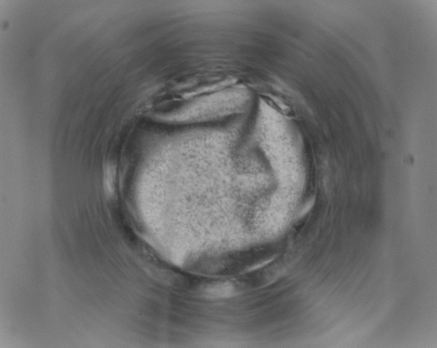 X0000074290075200609151927