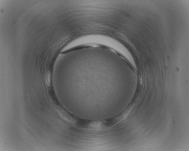 X0000074290076200609151927