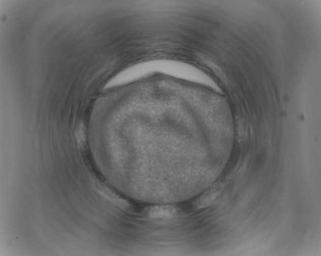 X0000074290077200609151927