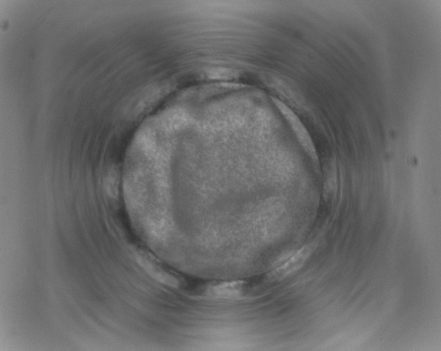 X0000074290078200609151927