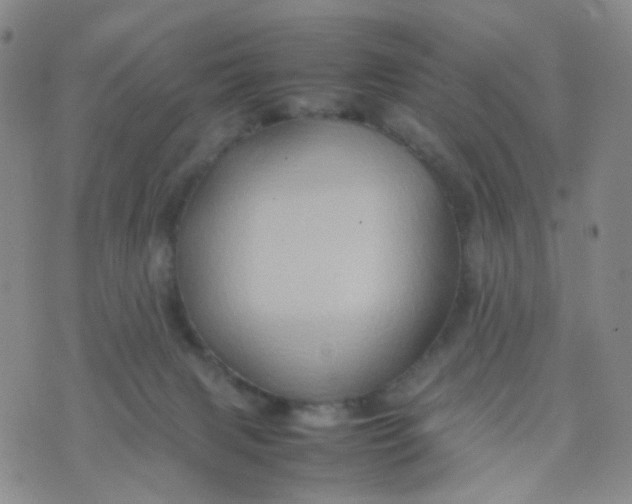 X0000074290079200609151927