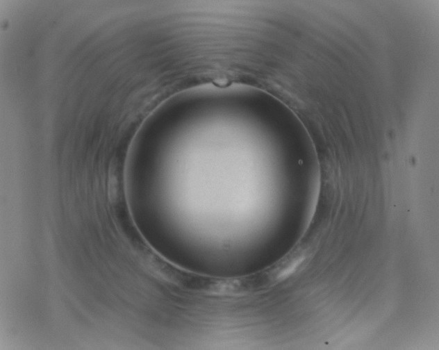 X0000074290080200609151927