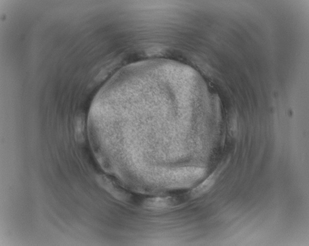 X0000074290082200609151927