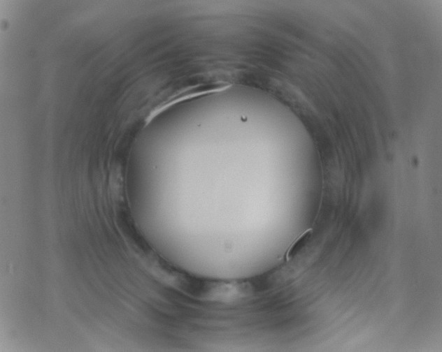 X0000074290083200609151927