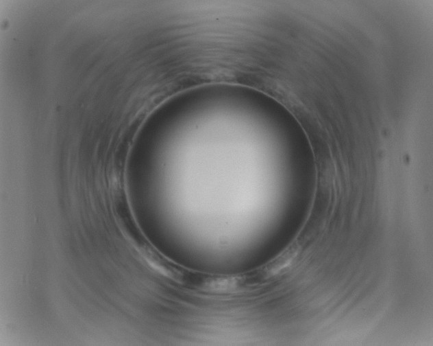 X0000074290084200609151927