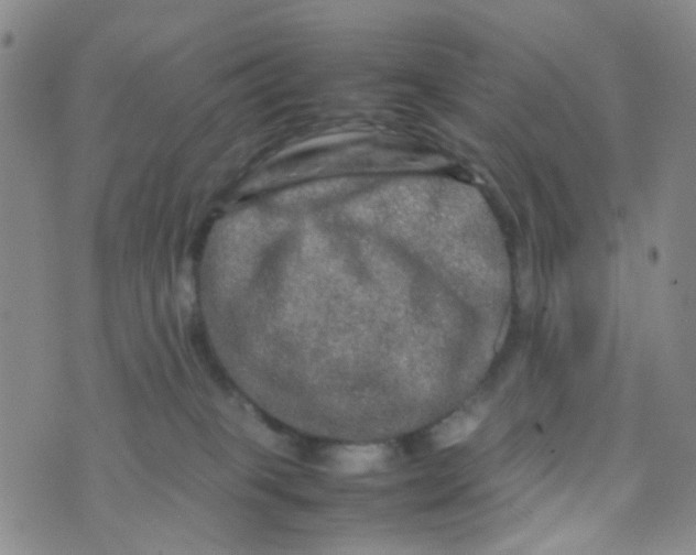 X0000074290085200609151927