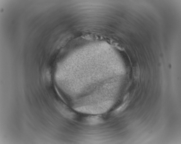 X0000074290086200609151927