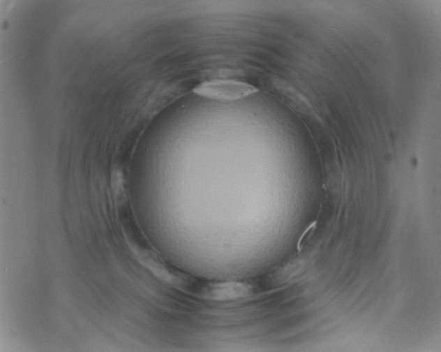 X0000074290087200609151927