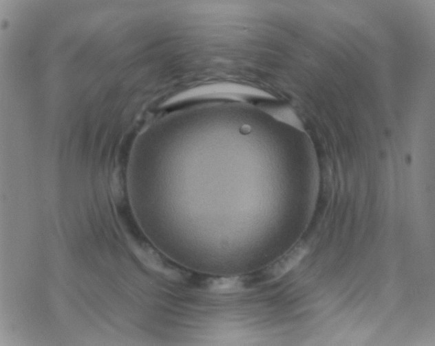 X0000074290088200609151927