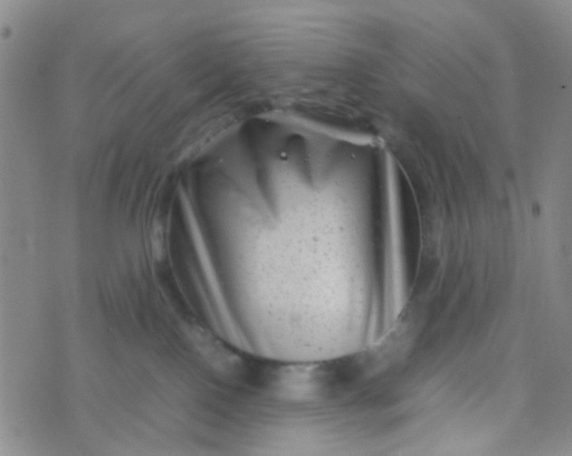 X0000074290090200609151928