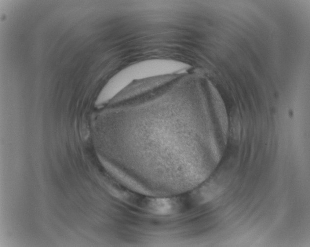 X0000074290091200609151928