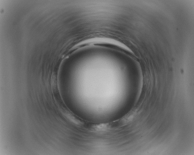 X0000074290092200609151928