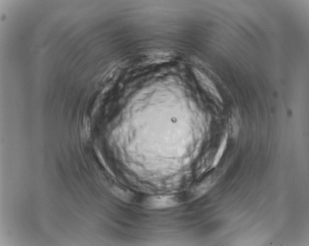 X0000074290093200609151928