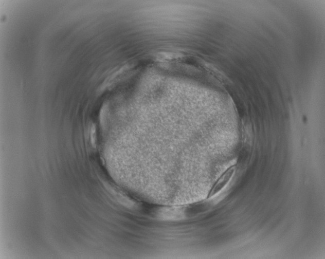 X0000074290094200609151928