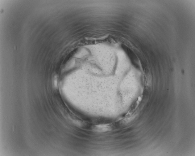 X0000074290095200609151928