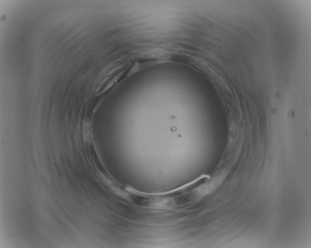 X0000074290096200609151928