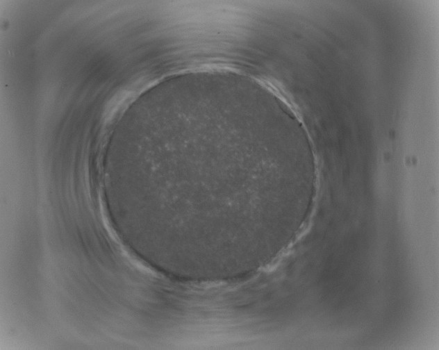 X0000074290097200609151927